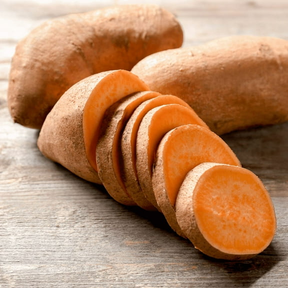 Pack 10 Orange Sweet Potato Cuttings, 3-5 Inch, Well Rooted Starter Plants for Outdoor Gardening