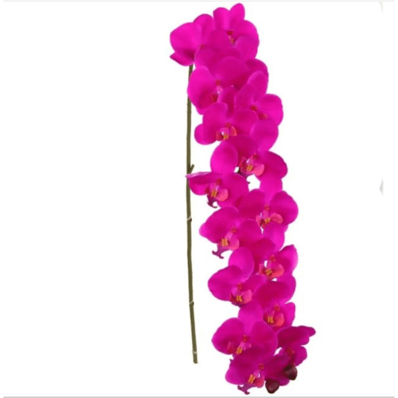 Pack of 12  34-Inch Phalaenopsis Orchid Stem Fuchsia  Artificial Silk Flowers with Realistic Blooms and Bendable Stems for Home, Office, and Event Dcor