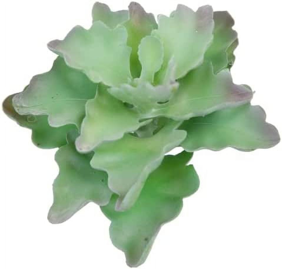 Pack of 2 Artificial Succulents Unpotted Small Fake Plants, Realistic