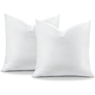 https://i5.walmartimages.com/seo/Pack-2-Down-Feather-Throw-Pillow-Inserts-12-x-20-Soft-Fluffy-Inserts-100-Cotton-Cover-Decorative-Pillows-Sofa-Couch-Bed-White_52219e4d-dbfd-4214-bcd5-c77bfeef3290.0126fff81073df4f487aee962141d7d2.jpeg?odnHeight=320&odnWidth=320&odnBg=FFFFFF