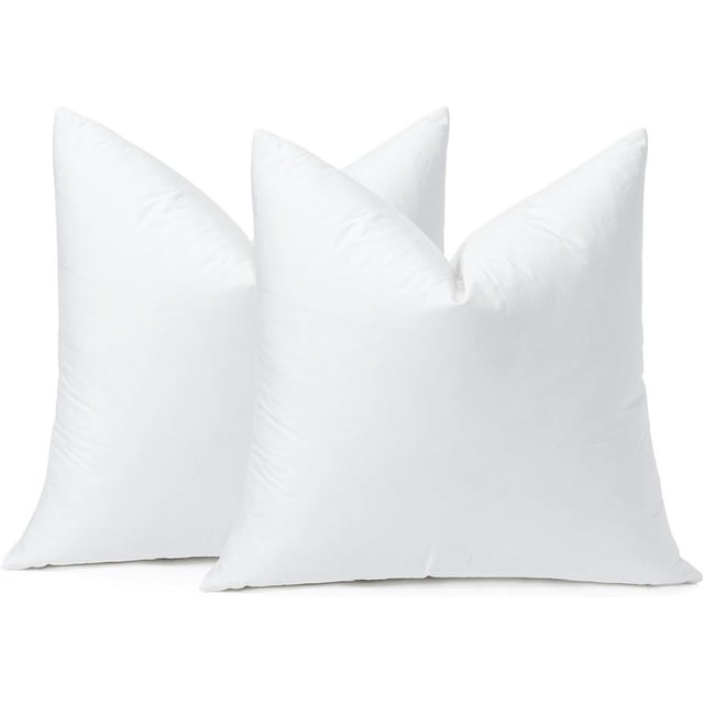 Pack of 2 Down and Feather Throw Pillow Inserts, 22 x 22 Soft Fluffy