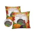 thumbnail image 1 of Pack of 2 Outdoor Pillow Covers, Happy Thanksgiving Day Pumpkin Leaves Turkey Waterproof Square Throw Pillowcase Cushion Decorative Pillow Covers for Couch Patio Tent, 18x18 in, 1 of 6