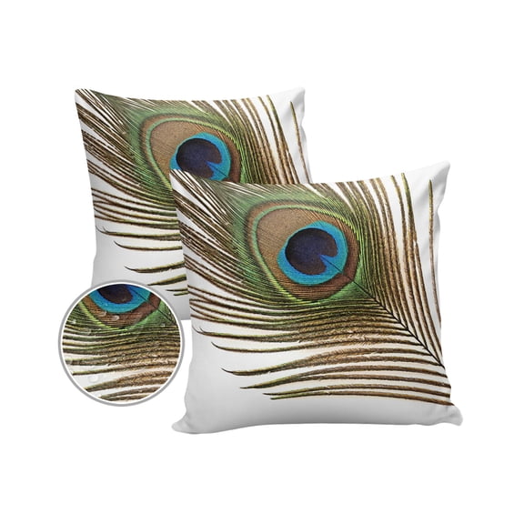 Pack of 2 Outdoor Pillow Covers, Rustic Vintage Wood Grain Board Brown Peacock Feather Waterproof Square Throw Pillowcase Cushion Decorative Pillow Covers for Couch Patio Tent, 20x20 in