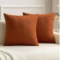 thumbnail image 1 of Pack of 2 Rust Pillow Covers 18x18 Inch Fall Decorative Velvet Throw Pillow Covers Modern Soft Couch Throw Pillows Farmhouse Home Decor for Sofa Bedroom Living Room, 1 of 6