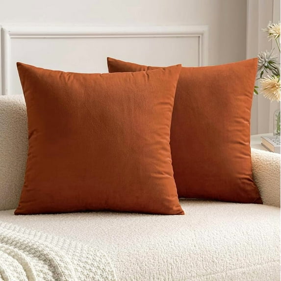 Pack of 2 Rust Pillow Covers 18x18 Inch Fall Decorative Velvet Throw Pillow Covers Modern Soft Couch Throw Pillows Farmhouse Home Decor for Sofa Bedroom Living Room