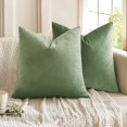 thumbnail image 1 of Pack of 2 Sage Green Pillow Covers 20x20 Inch Decorative Velvet Throw Pillow Covers Modern Soft Couch Throw Pillows Farmhouse Home Decor for Spring Sofa Bedroom Living Room, 1 of 7