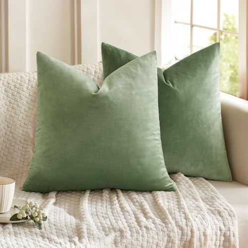 Pack of 2 Sage Green Pillow Covers 20x20 Inch Decorative Velvet Throw Pillow Covers Modern Soft Couch Throw Pillows Farmhouse Home Decor for Spring Sofa Bedroom Living Room