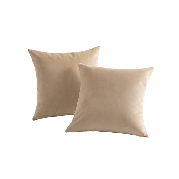 Pack of 2 Velvet Decorative Pillow Cover Set Cozy Soft with Hidden Zipper Solid Color for Sofa Bedroom Car Couch Throw Pillow 20 x 20 Inch Square Cushion Cases
