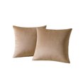 thumbnail image 1 of Pack of 2 Velvet Decorative Pillow Cover Set Cozy Soft with Hidden Zipper Solid Color for Sofa Bedroom Car Couch Throw Pillow 20 x 20 Inch Square Cushion Cases, 1 of 4