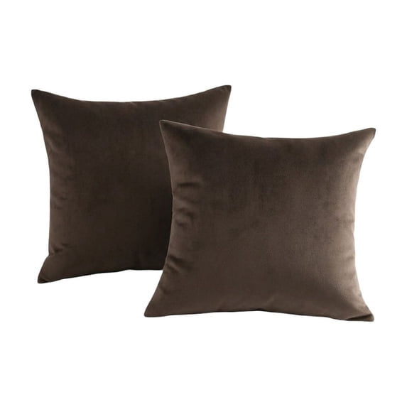Pack of 2 Velvet Decorative Pillow Cover Set Cozy Soft with Hidden Zipper Solid Color for Sofa Bedroom Car Couch Throw Pillow 20 x 20 Inch Square Cushion Cases