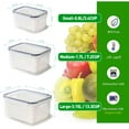 Pack of 3 Fruit Fresh Produce Protector Grape Container for Fridge