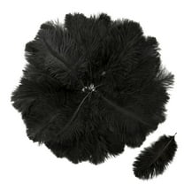 Pack of 30 Ostrich Feathers, Artificial Ostrich Feathers, Black Feathers, Decorative Feathers, DIY Craft Decoration Accessories, for Wedding Decoration, Home Decor, Party Table
