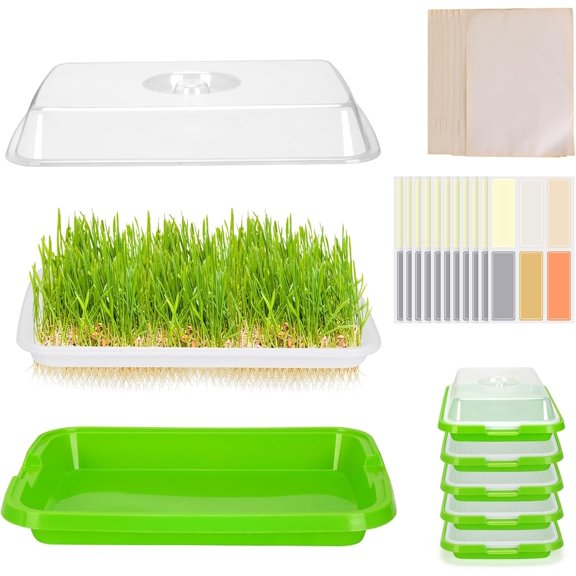 Pack of 6 Microgreens Growing Kit, Microgreen Trays for Seed Sprouter, Sprouting Tray with Lid Fresh Sprouts, Wheat-Grass, Alfalfa Germination (Microgreens Kit)