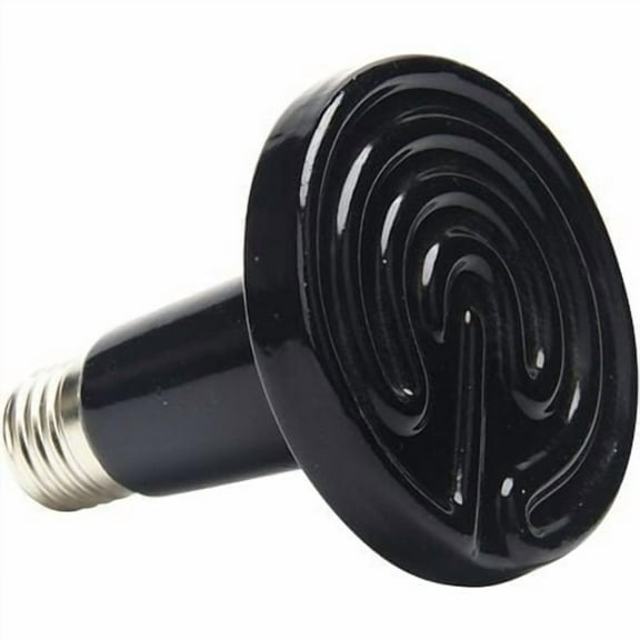 Pack Amphibious Reptile Heat Lamp with Color Box Ordinary Ceramic Lamp Turtle Lizard Spider Reptile Heat Box 220V (25W)