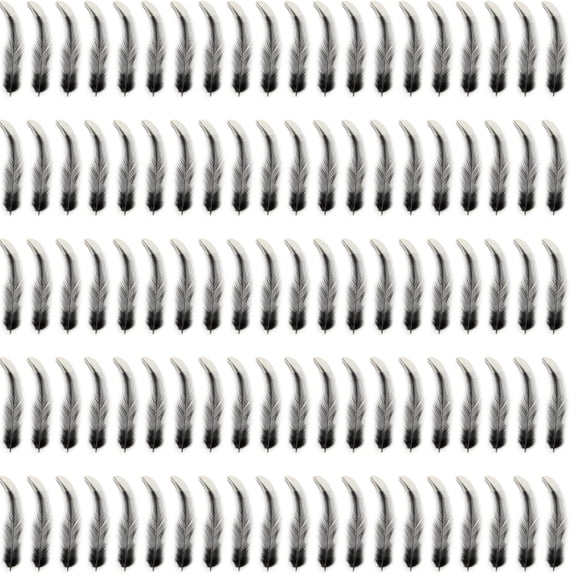 Pack Of 100 Black Wing Decoration Natural Craft Wing For Dream Catchers Costume Hat Earrings Jewelery Decoration