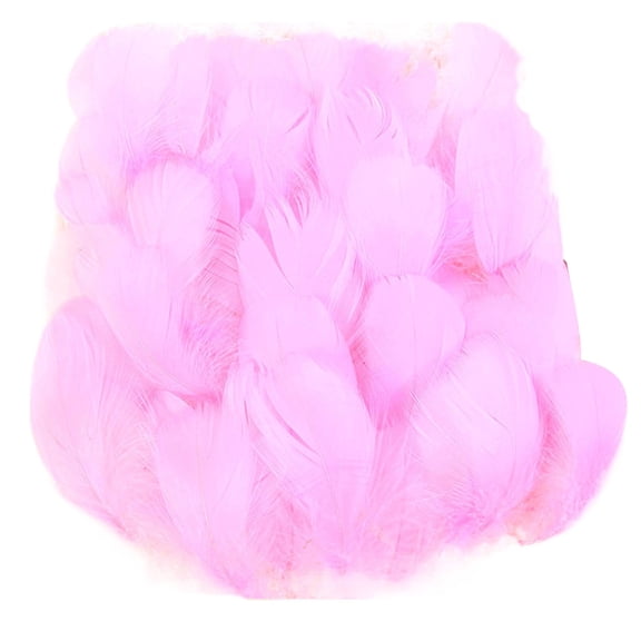 Pack Of 100 Natural Crafting Feathered Accessories Crafting Supplies Suitable For Costumes And Creative Art Projects