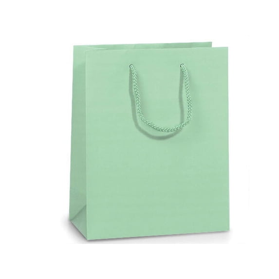 Pack Of 100, Solid Aqua Matte Cub Gift Bags 8 X 4 X 10" w/Cardboard Bottom Inserts & Coordinating Cord Handles