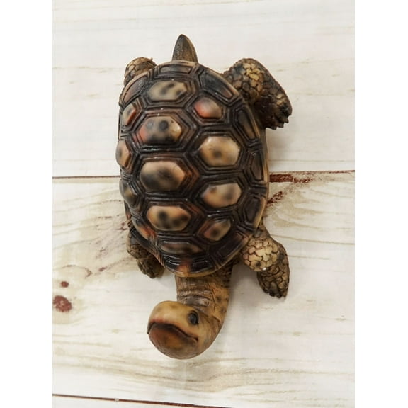 Pack Of 2 Nautical Marine Brown Long Necked Tortoise Rustic Wall Hook Hanger