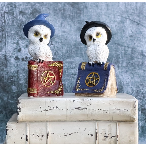 Pack Of 2 Witchcraft Spell Witch Snow Owls On Pentagram Spellbooks Figurine