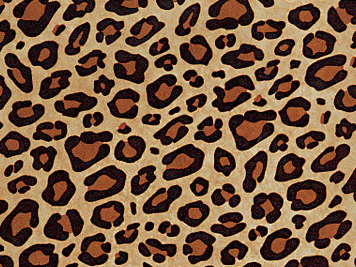 Pack Of 200, Animal Print Leopard Kraft Tissue Paper 20" X 30" Sheets Tissue Prints Made In USA