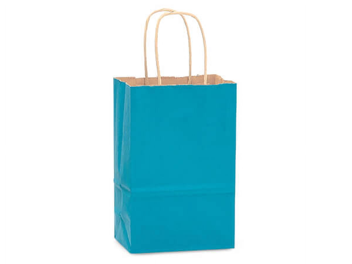 Pack Of 250, Caribbean Blue Recycled Kraft Tinted Paper Bags W/Edge Tops & Sturdy Handles - Rose 5.5 X 3.25 X 8.5" Made In USA