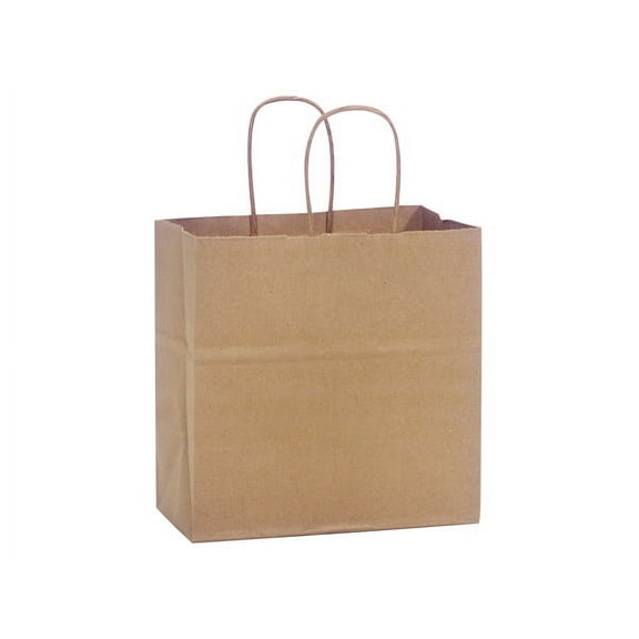 Pack Of 250, Junior 8 X 5 X 8" 100% Recycled Brown Kraft Paper Bags Solid Made In USA