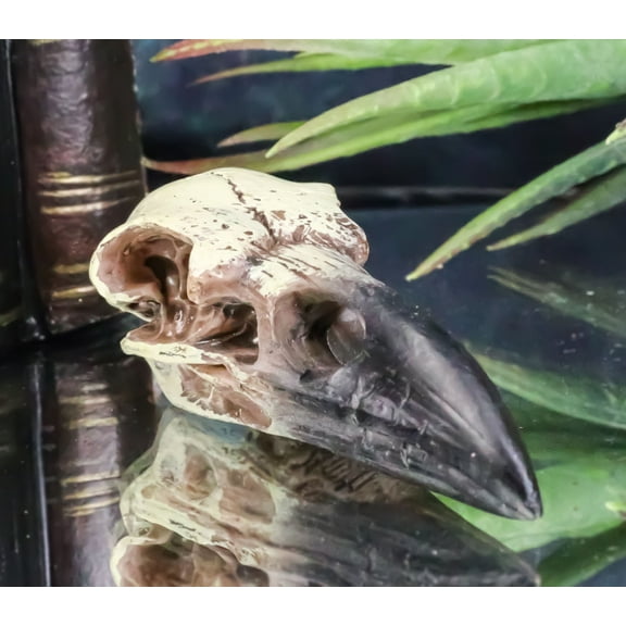 Pack Of 3 Gothic Reliquary Raven Crow Skull Small Pendant Talisman Figurines