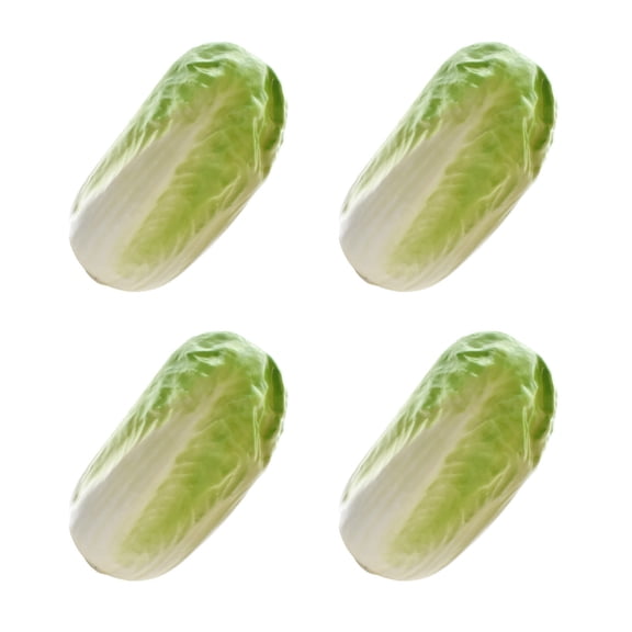 Pack Of 4 Realistic Vegetable Model Faux Cabbage for Home Table and Restaurant Display Cabinet Showcase Decoration