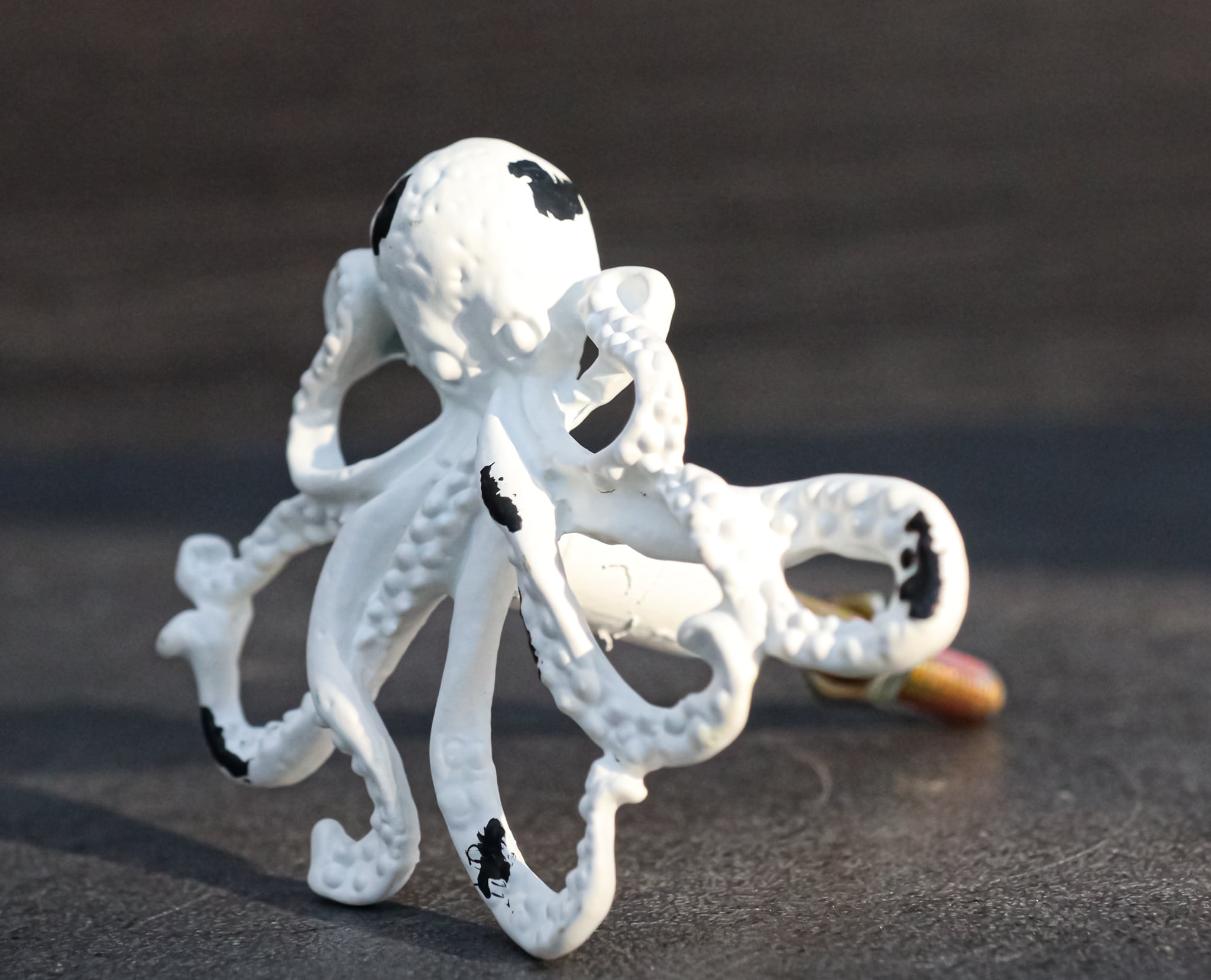 Aged White Cast Iron Sea Octopus Drawer Knobs Set of 6
