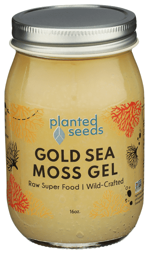 (Pack Of 6) Planted Seeds Sea Moss Gel Gold 16 Fl Oz
