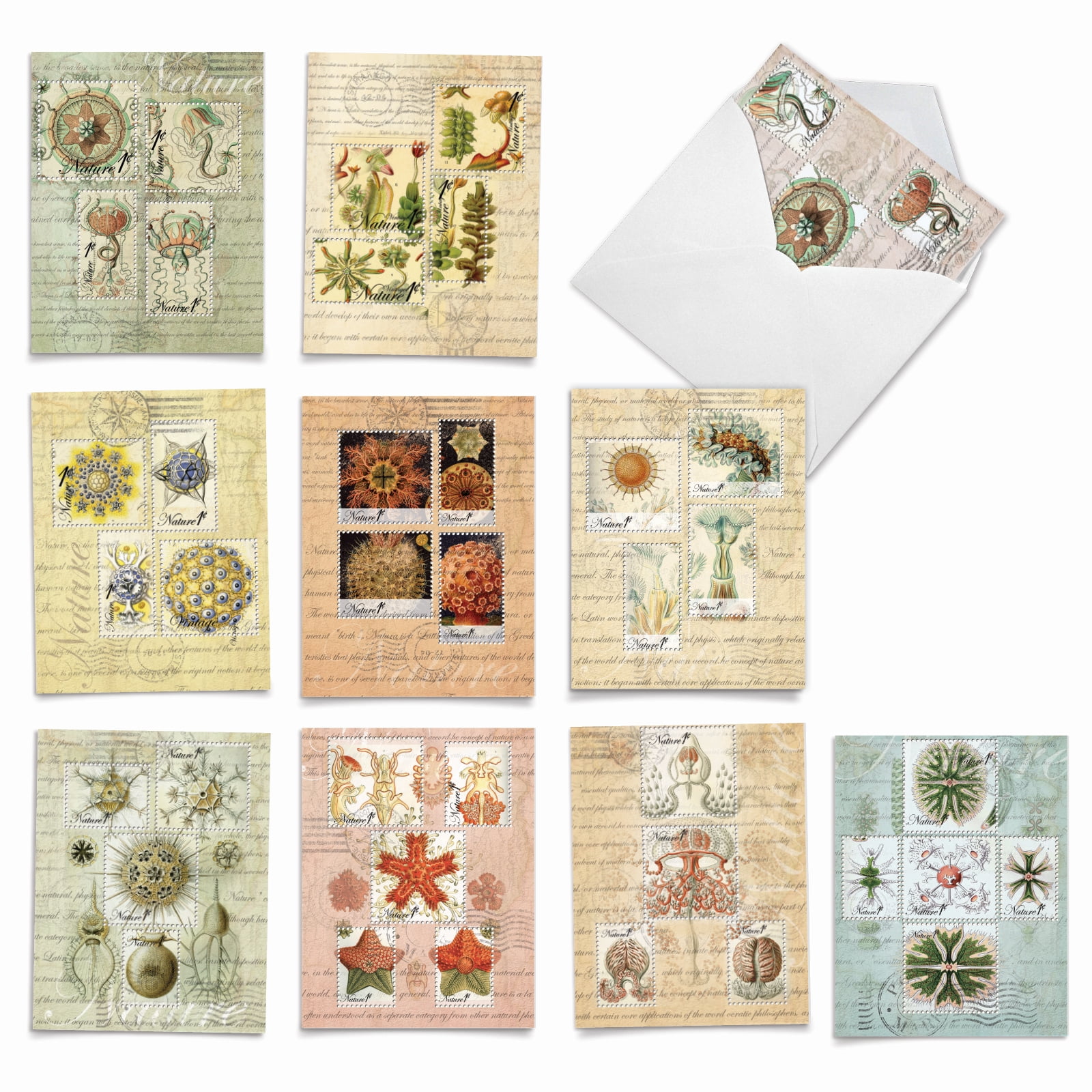 Pack of 10 All Occasion Blank Cards with Envelopes (4 x 5.12 Inch ...