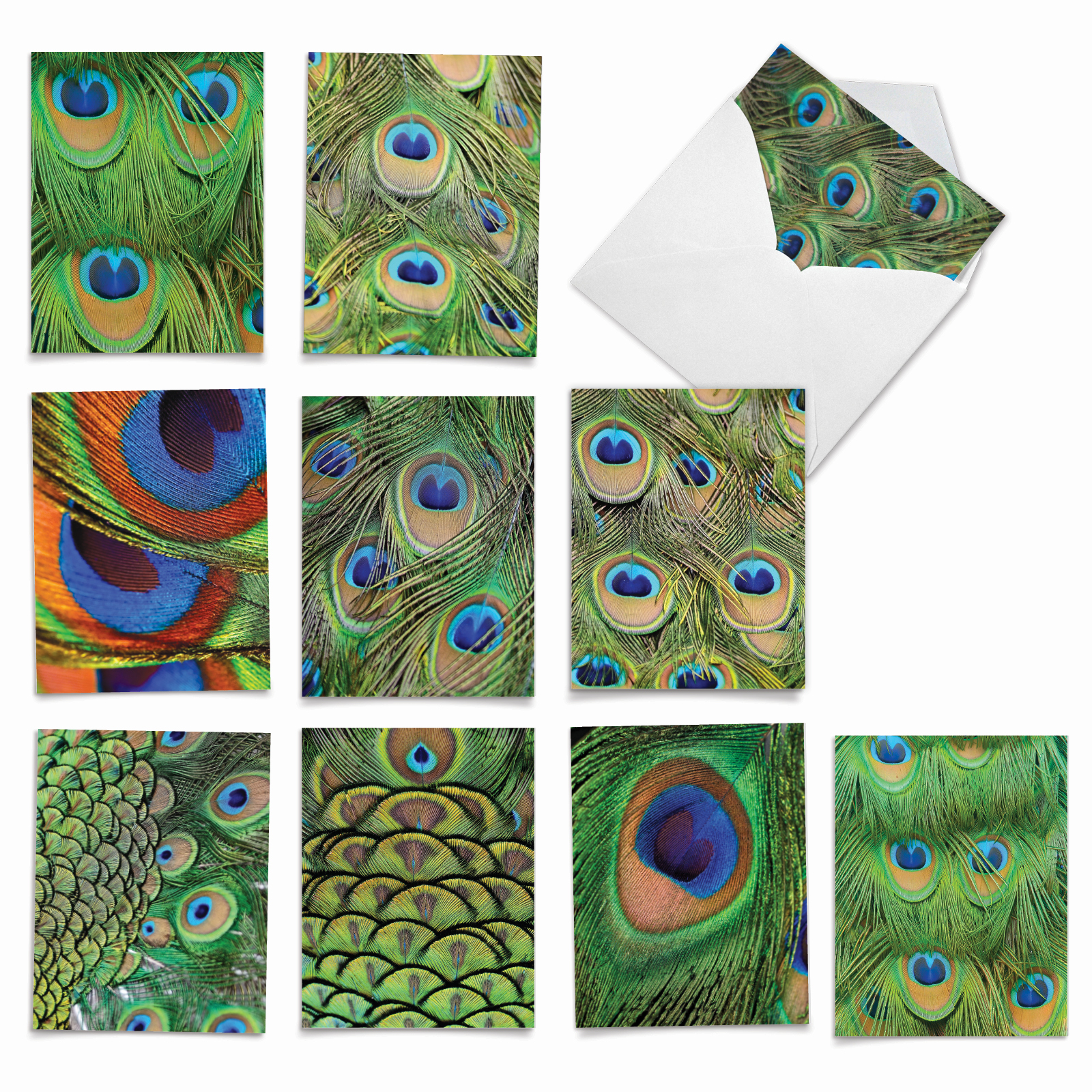 Pack of 10 All Occasion Blank Note Cards with Envelopes (4 x 5.12 Inch ...