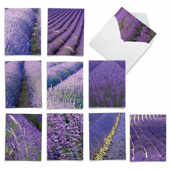 Pack of 10 All Occasion Blank Note Cards with Envelopes (4 x 5.12 Inch) - LAVENDER FIELDS FOREVER M2017
