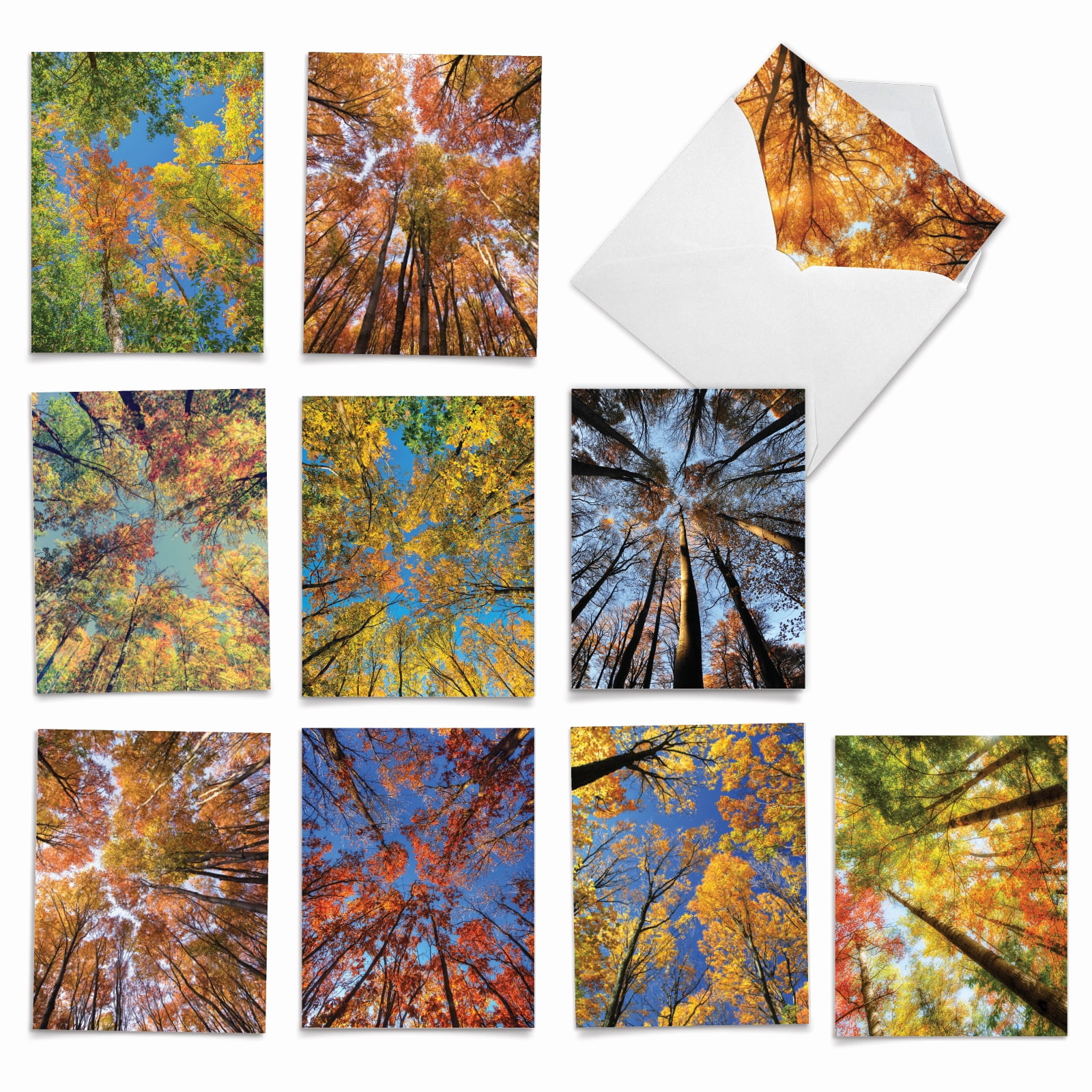 Pack of 10 All Occasion Blank Note Cards with Envelopes (4 x 5.12 Inch) - OVER THE TOP M2006