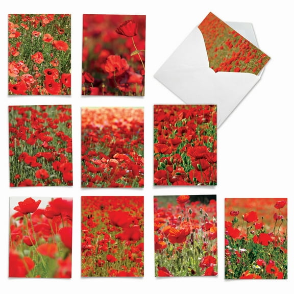 Pack of 10 All Occasion Blank Note Cards with Envelopes (4 x 5.12 Inch) - POPPY LOVE M2019