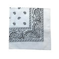 thumbnail image 1 of Pack of 10 Daily Basic 100% Polyester 22 x 22 Paisley Printed Bandanas, 1 of 3