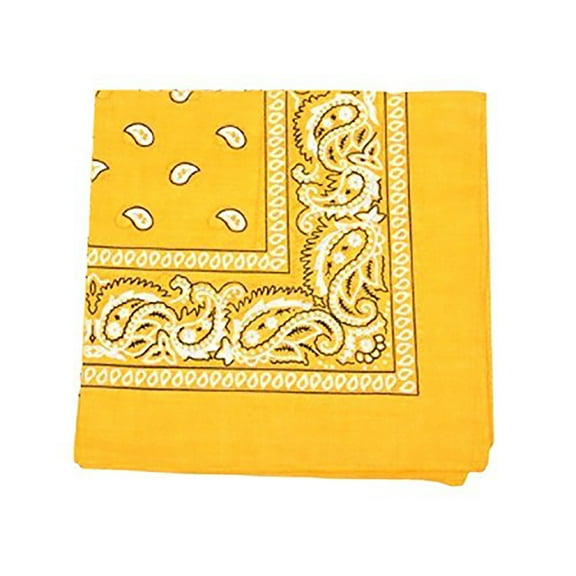 Pack of 10 Daily Basic 100% Polyester 22 x 22 Paisley Printed Bandanas