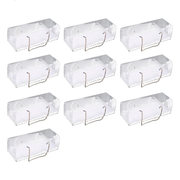 Pack of 10 Effective PET Packaging Boxes For Cup cakes And Hot Chocolate Bombs