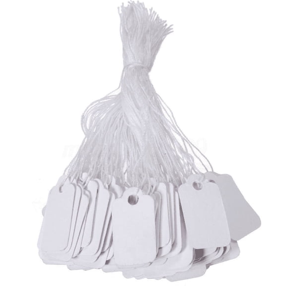 Pack of 100pcs Marking Tag Price Labels Display Tags with Wire Ties x 15 mm 1.02 x 0.59 inch