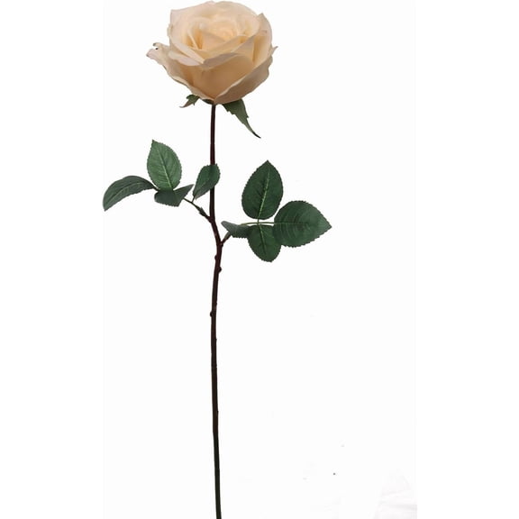 Pack of 12 - 27" Real Touch Peach Rose Stem Artificial Flower with 4" Diameter Bloom | Faux Long Stem Rose for Weddings, Home Dcor & Arrangements