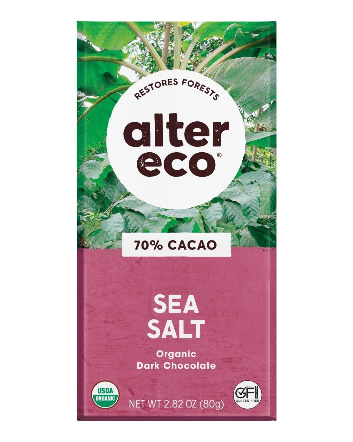 Pack of 12, Alter Eco Sea Salt Organic Dark Chocolate, 2.82 oz