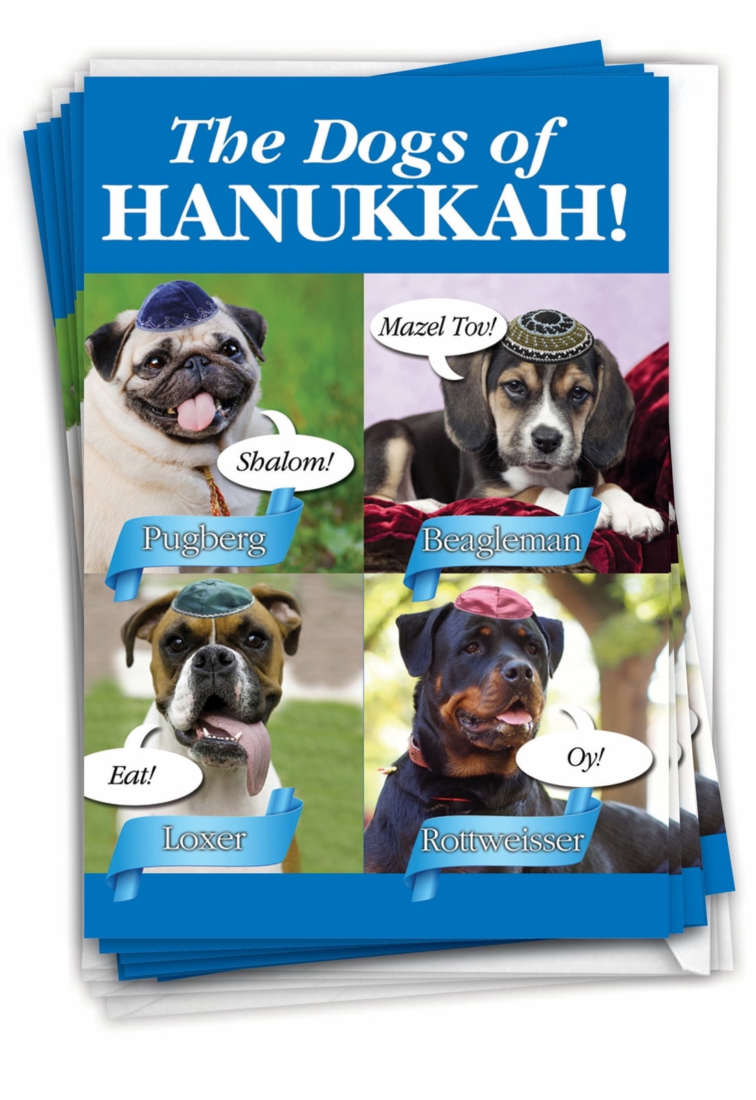 NobleWorks 12 Funny Chanukah Cards w/ 5x7 Envelopes, 1x12 Designs, For Men, Women, Jewish Holiday Cards - Prickly Menorah C3441HKG-B12x1