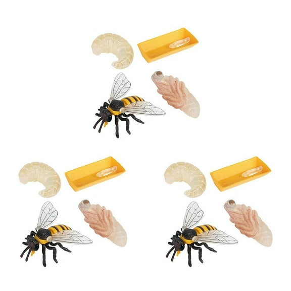 Pack of 12 Insect Figurines Life Cycle of Realistic Insects Figures Toys Educational Science Model Toy