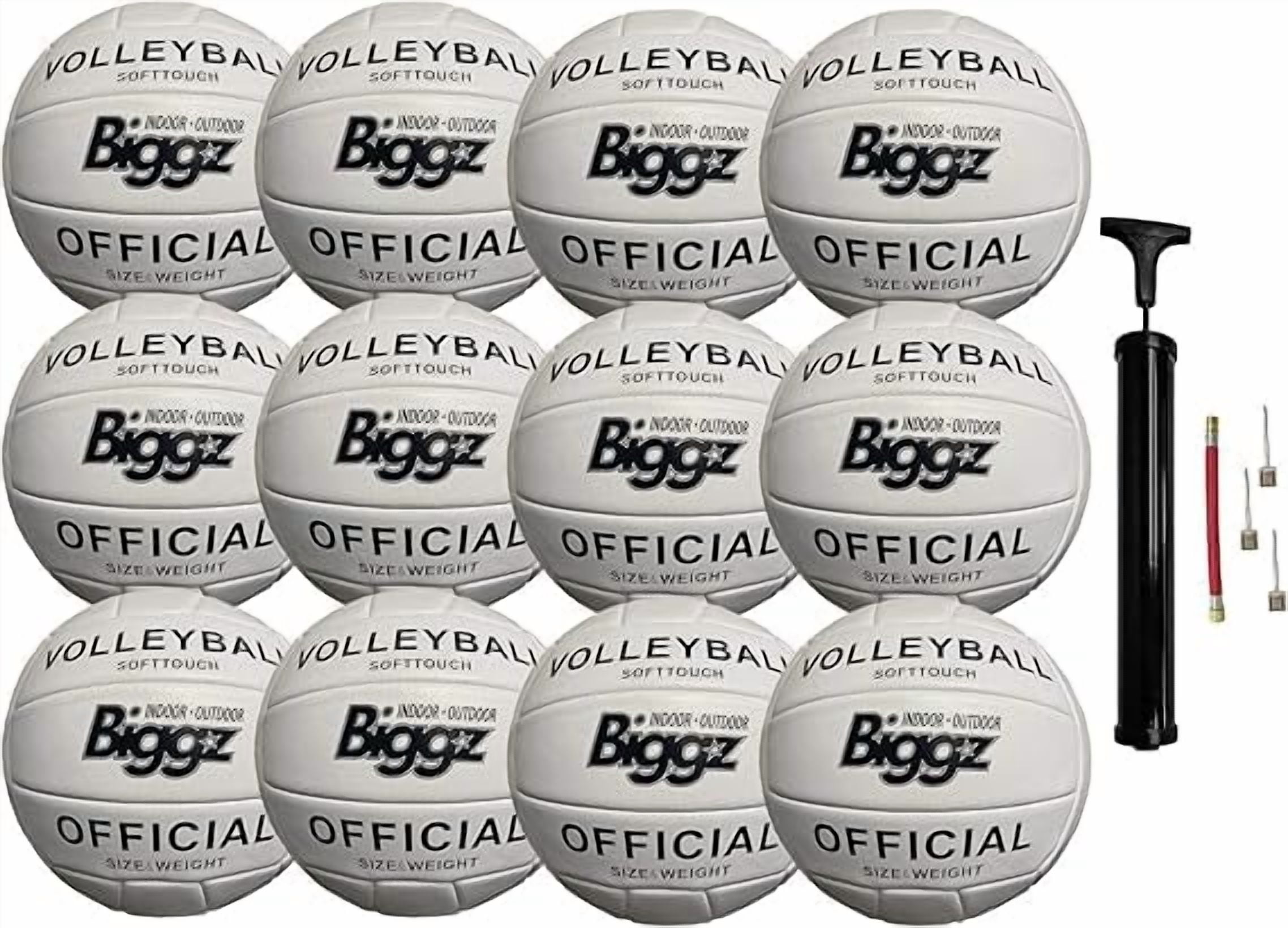 Biggz (Pack of 12) Volleyballs - Soft Touch Leather - Indoor/Outdoor with Pump