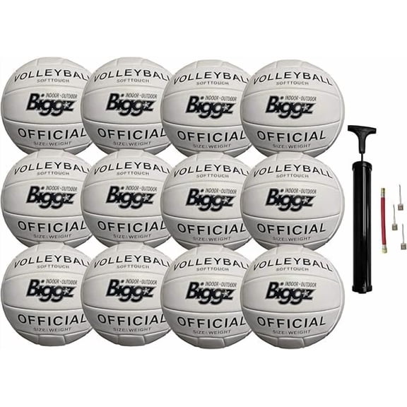 Biggz (Pack of 12) Volleyballs - Soft Touch Leather - Indoor/Outdoor with Pump