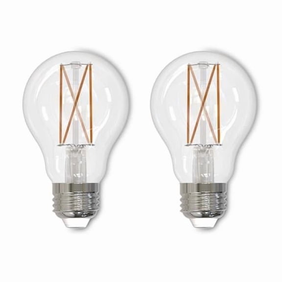 Pack of (2) 5W LED A19 2700K Filament Bulb
