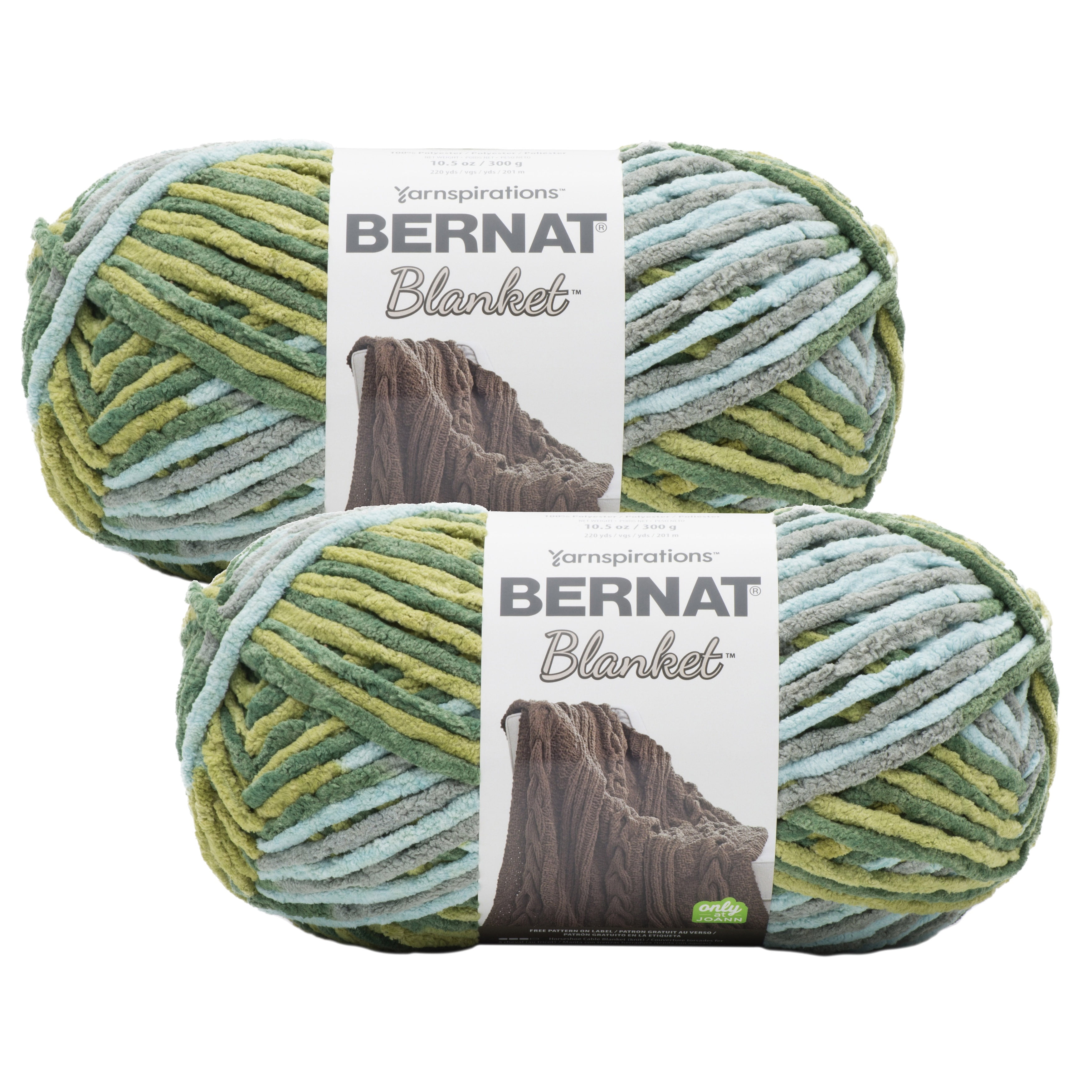 (Pack of 2) Bernat Blanket Big Ball Yarn-Forest Sage