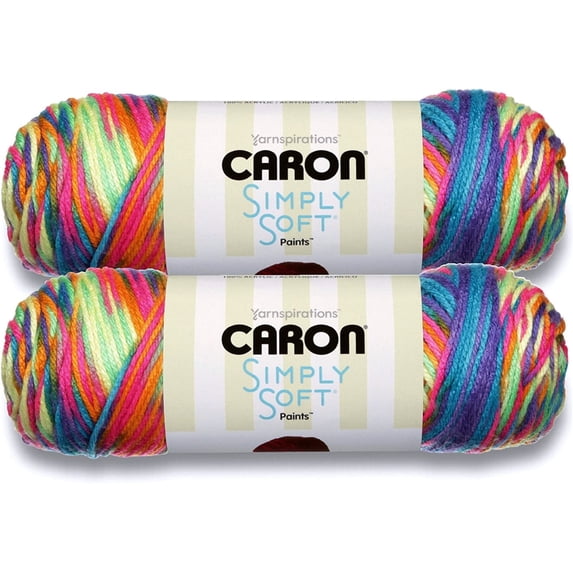(Pack of 2) Caron Simply Soft Paints Yarn-Rainbow Bright