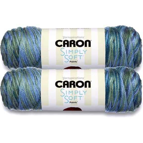 (Pack of 2) Caron Simply Soft Paints Yarn-Spring Brook