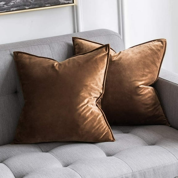 Pack of 2 Decorative Velvet Throw Pillow Cover Soft Brown Pillow Cover Soild Square Cushion Case for Sofa Bedroom Car 18x18 Inch